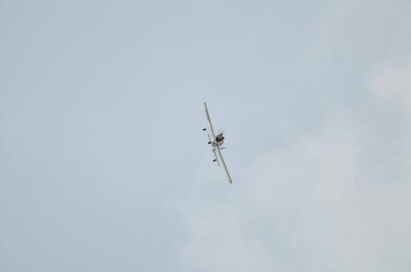 阿強兄 2495-1.jpg