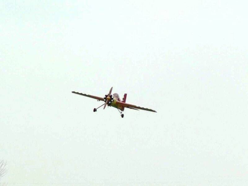 b1.jpg