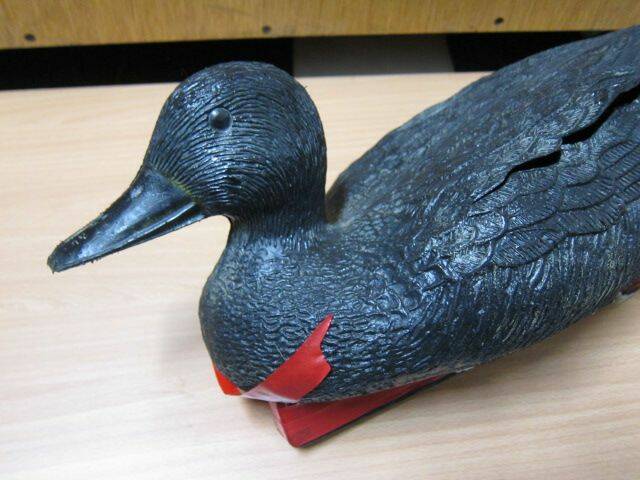 20110601_e32934302263d012d7804K8X1NilceRq.jpg