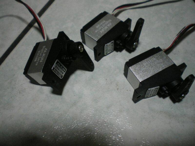 IMGP3021.JPG