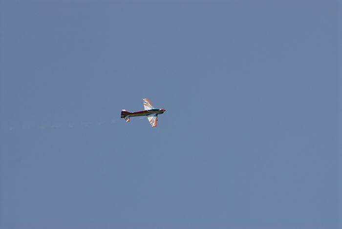 _DSC0177.jpg