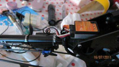 IMG_1226.jpg