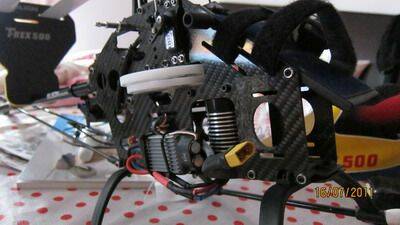 IMG_1223.jpg