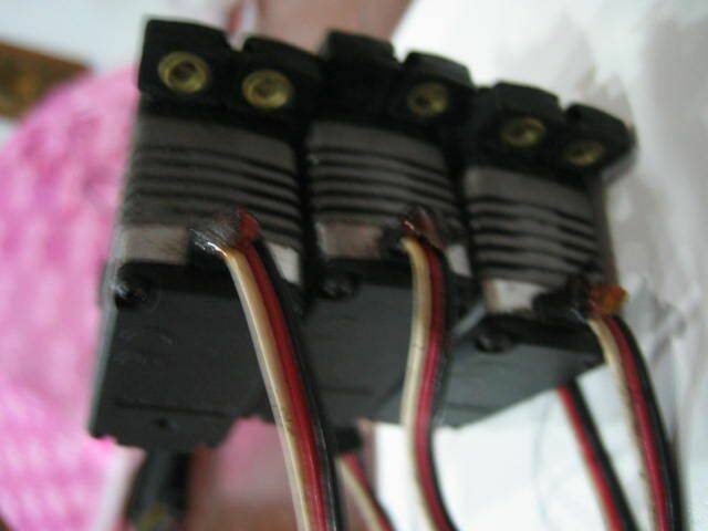 照片 913.jpg