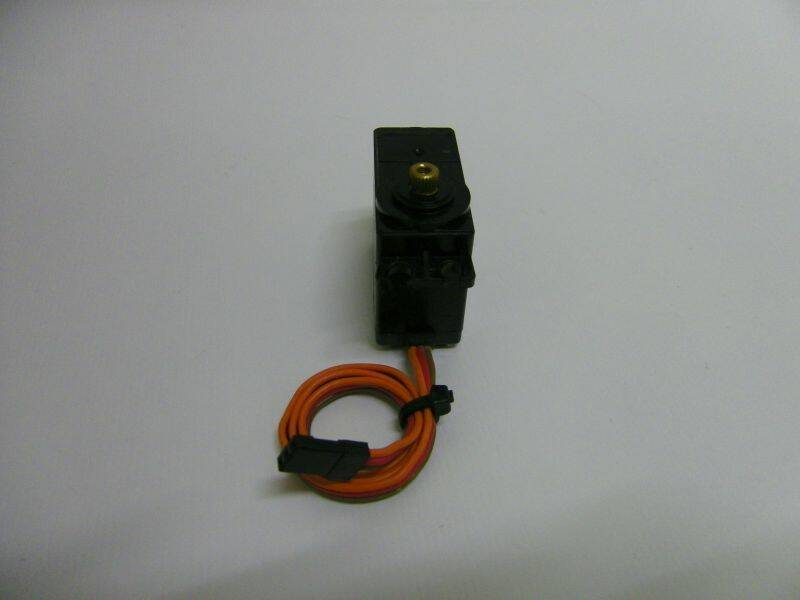 MG995 (3).JPG