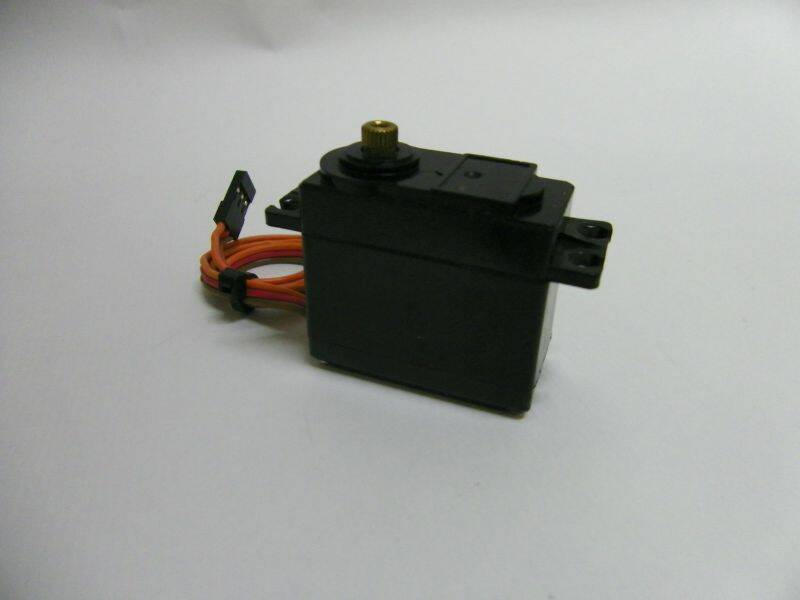 MG995 (1).JPG