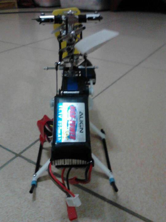 284196_253134151380460_100000516317029_1046289_5989479_n.jpg
