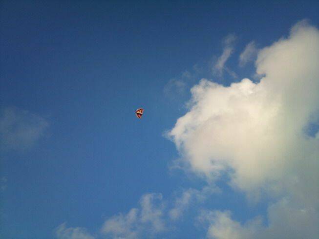 DSC_1429_大小 .jpg