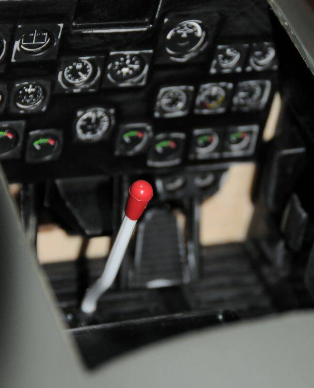 DSC_8686.jpg