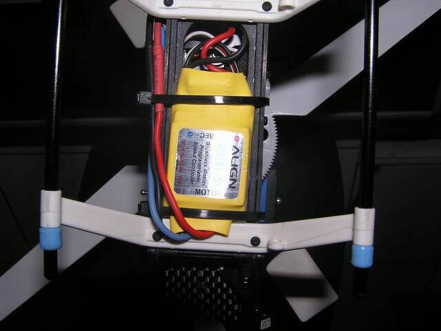 調整大小P1010008.JPG