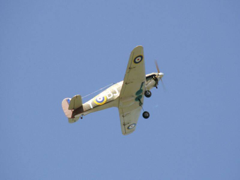 _MG_4994.JPG