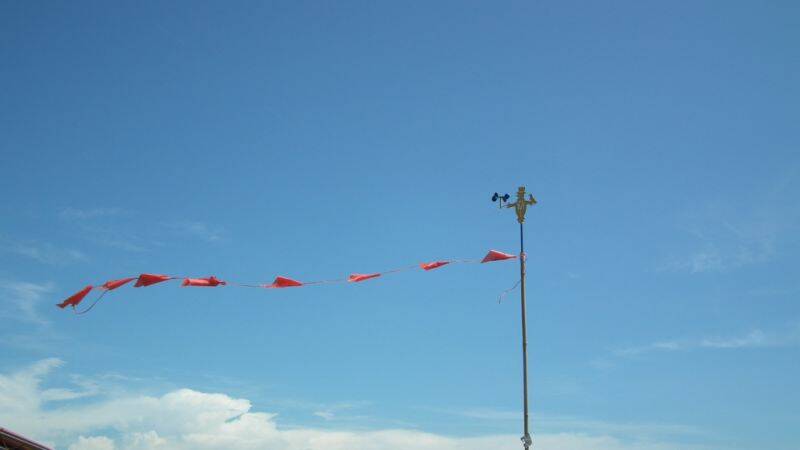 DSCF1193.JPG