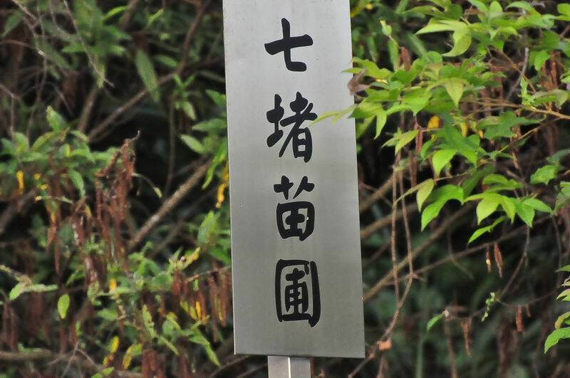 DSC_7431.JPG