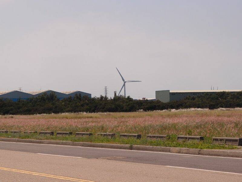 P7300210.JPG