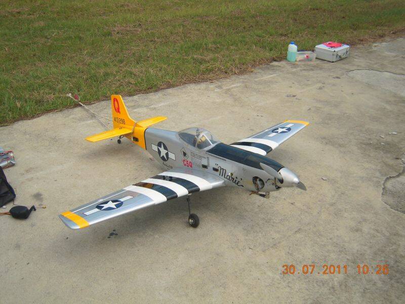 p51-1.jpg