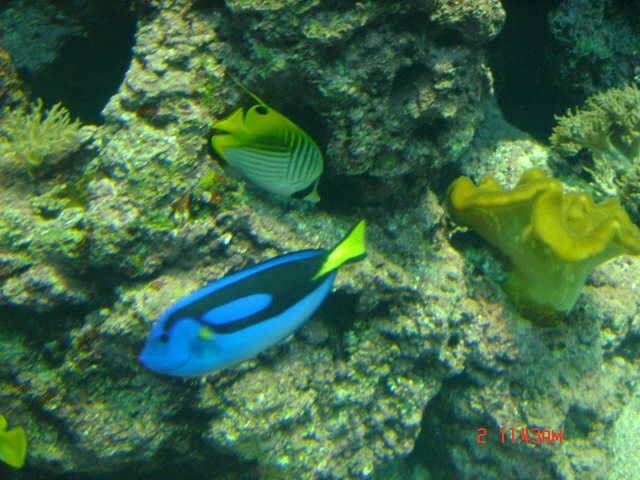 DSC01744.JPG