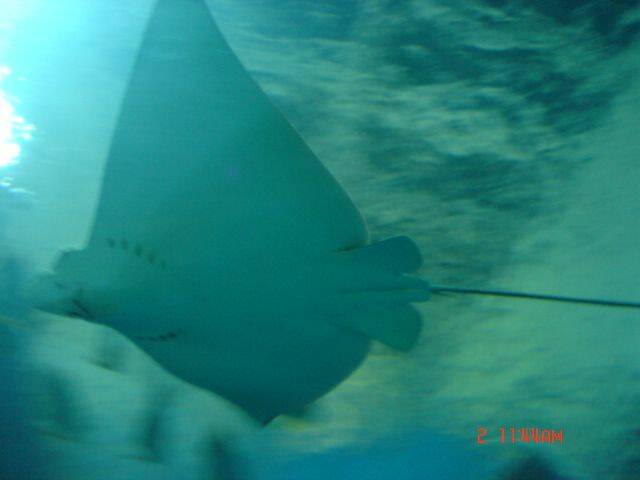 DSC01745.JPG