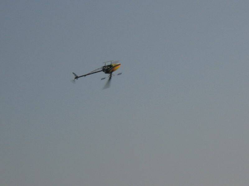 IMG_7553.JPG