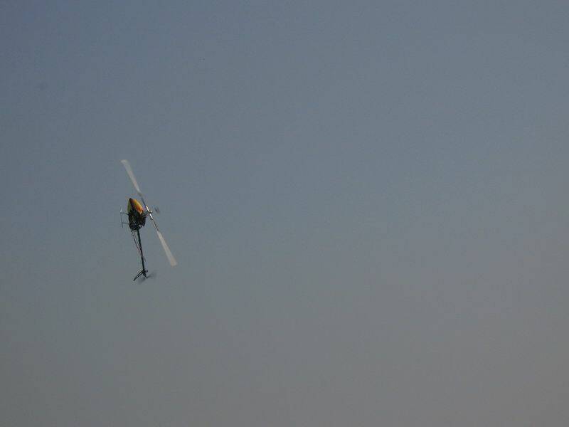 IMG_7555.JPG