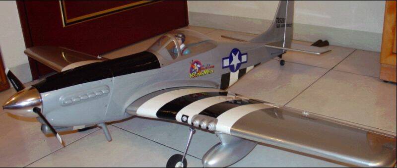 P51.JPG