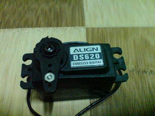 DSC01010.JPG