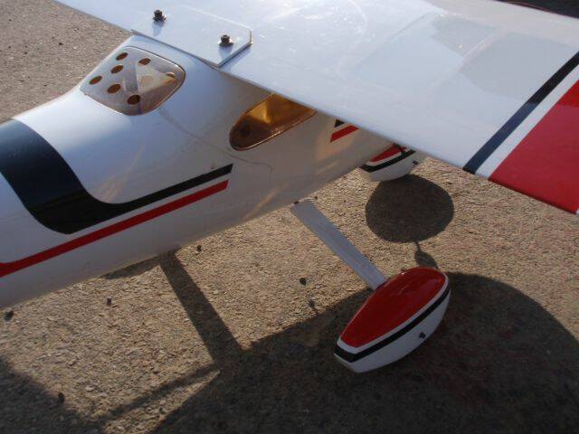 P8051436.JPG