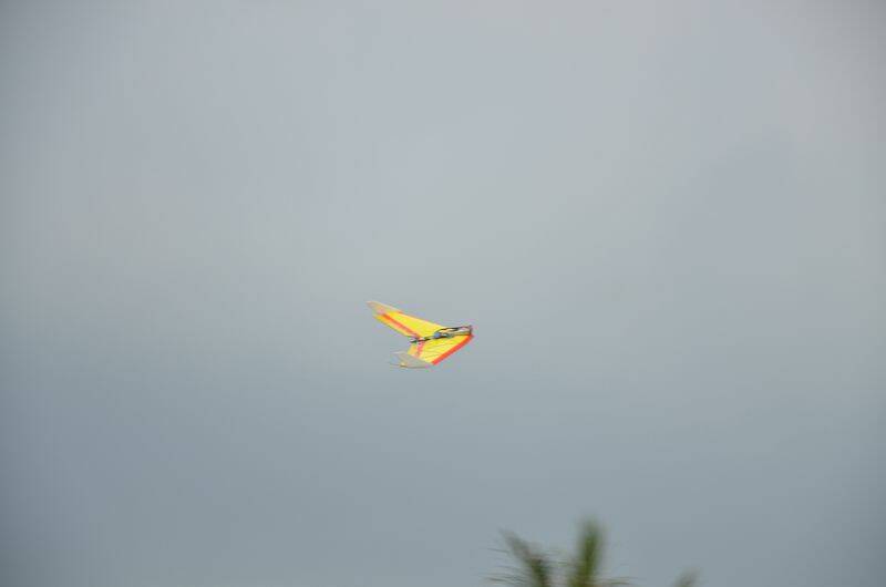 2011-08-07-_0086.JPG