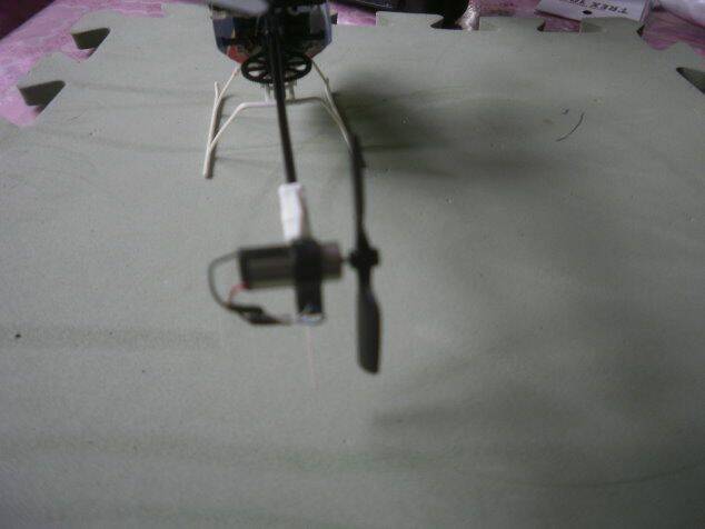 P6240002.JPG