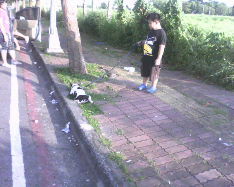 IMG0661A.JPG