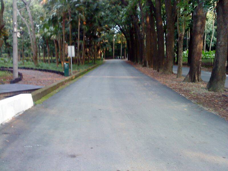 DSC02770.JPG