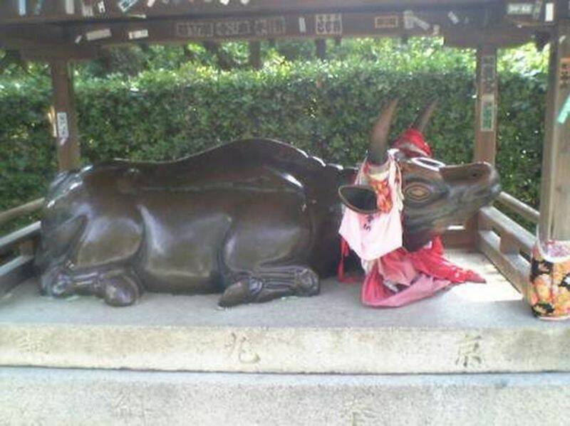 ushigami[1].jpg