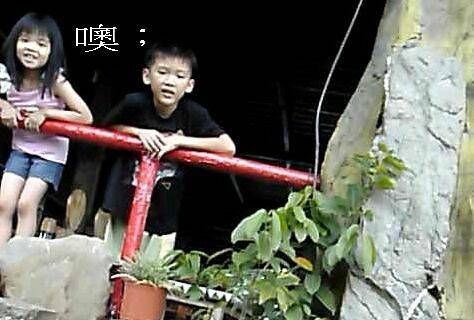 PDVD_018.jpg