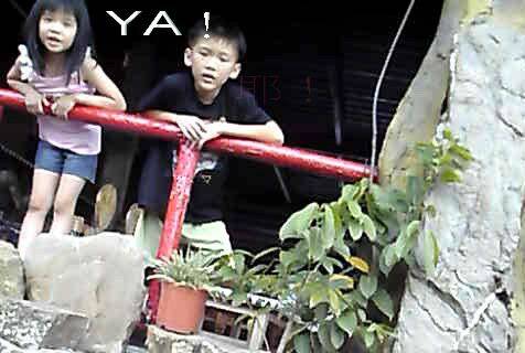 PDVD_019.jpg