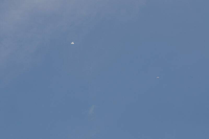 阿強兄.2011.8.15. 628-1.jpg
