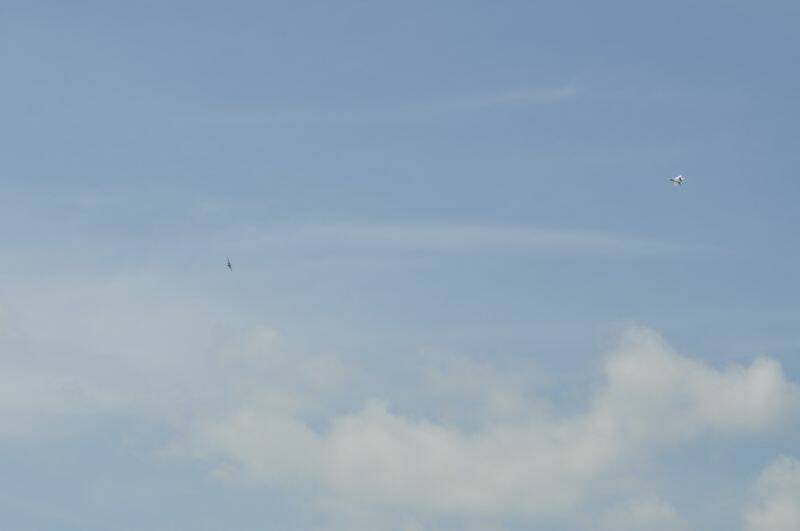 阿強兄.2011.8.15. 649-1.jpg