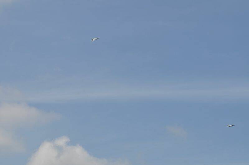阿強兄.2011.8.15. 687-1.jpg