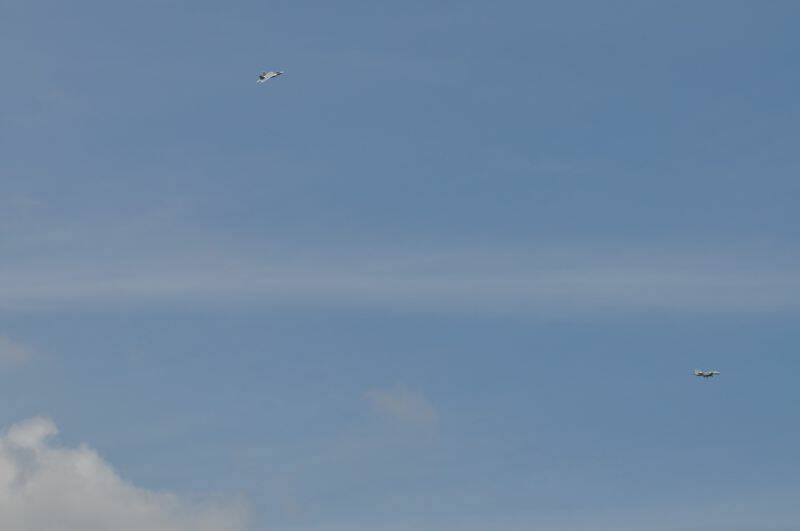 阿強兄.2011.8.15. 688-1.jpg