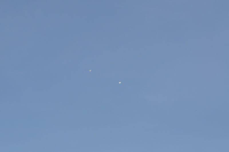 阿強兄.2011.8.15. 629-1.jpg
