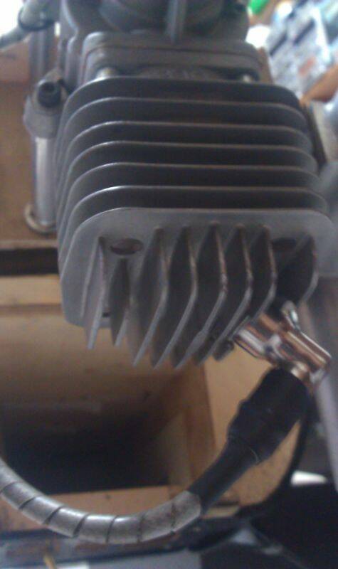IMAG0381.jpg
