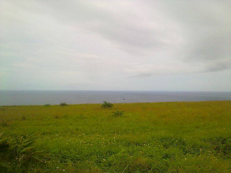 201108192772.jpg