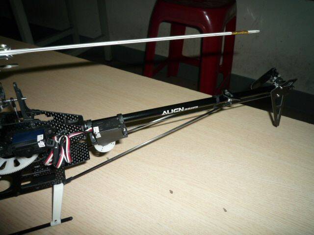 P1070382.JPG
