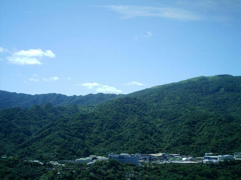 IMAG0014.JPG