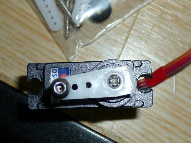 P1000142.JPG