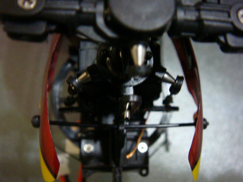 DSC05351_.jpg