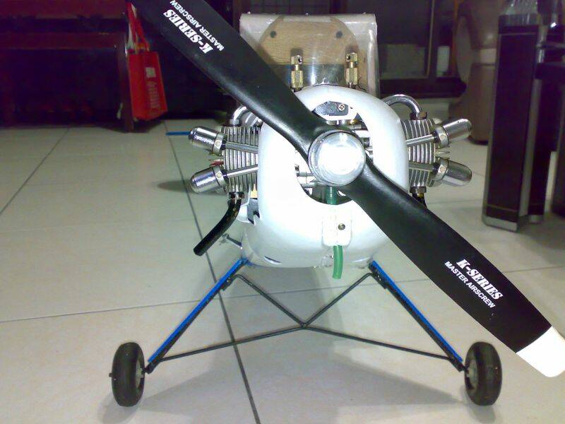 20100826556.jpg