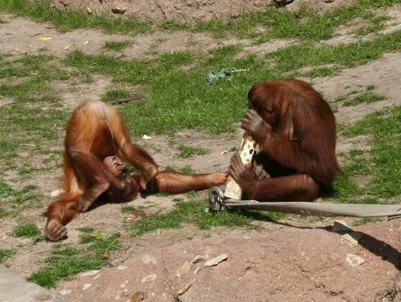 zoo2.jpg