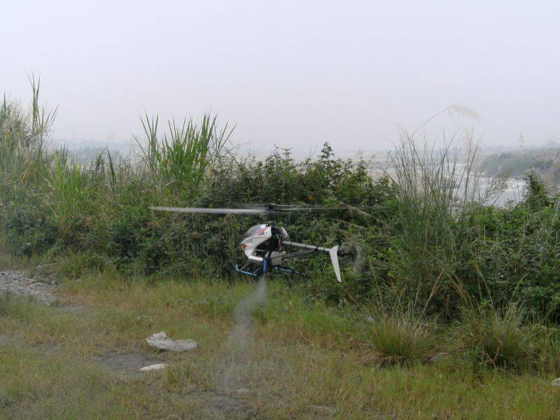 PICT5583.JPG