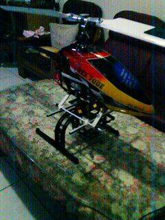 IMG0358A.jpg