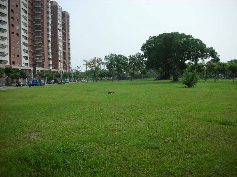 DSCN9545.JPG