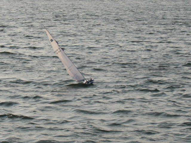 12.JPG